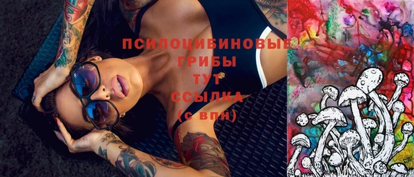 МДПВ Коряжма