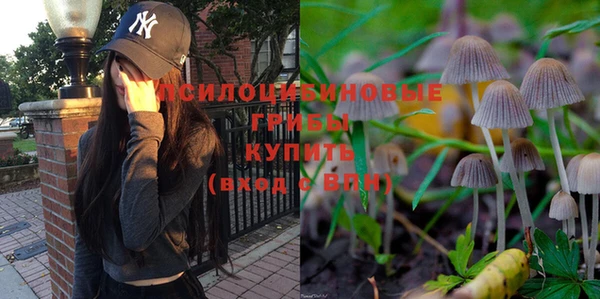 крисы Лихославль