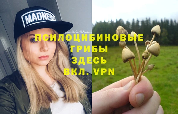эйфоретик Бердск