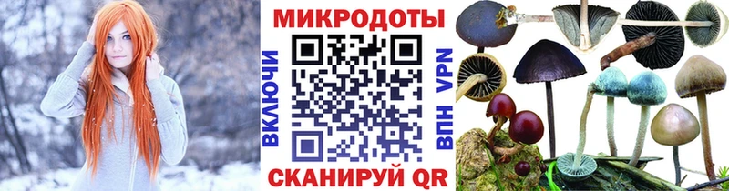 Псилоцибиновые грибы прущие грибы  Талдом 
